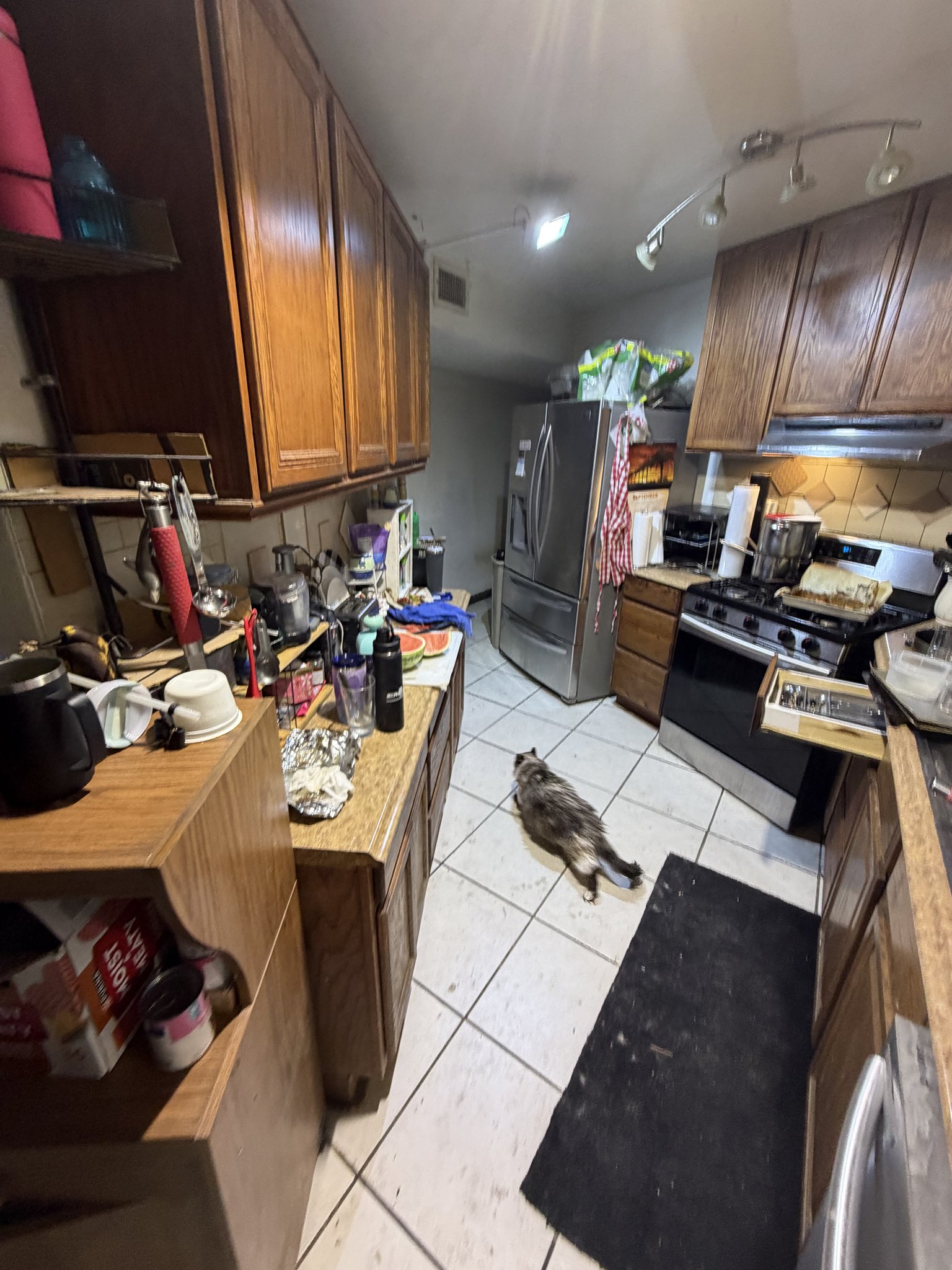 IMG_1734.jpg