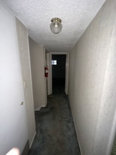 IMG_1011.jpg