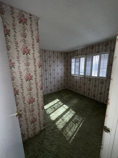 IMG_1013.jpg