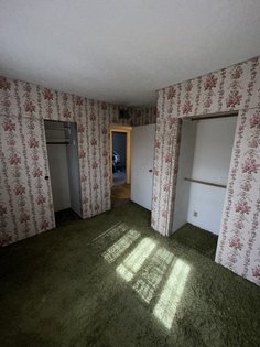 IMG_1017.jpg