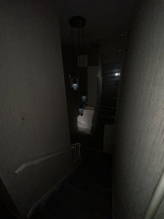 IMG_1034.jpg