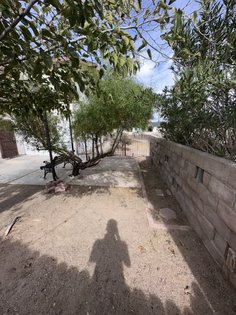 IMG_1039.jpg