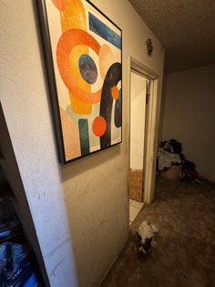 IMG_8815.jpg